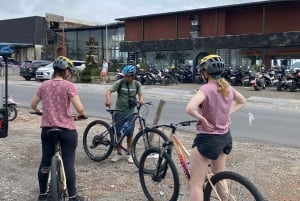 Ubud: PRIVATE E-bike Tour inside Rice Field with meal & pool