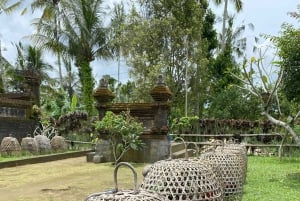 Ubud: PRIVATE E-bike Tour inside Rice Field with meal & pool