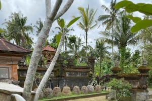 Ubud: PRIVATE E-bike Tour inside Rice Field with meal & pool