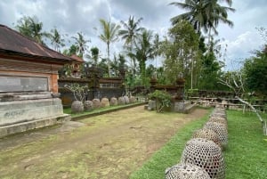 Ubud: PRIVATE E-bike Tour inside Rice Field with meal & pool
