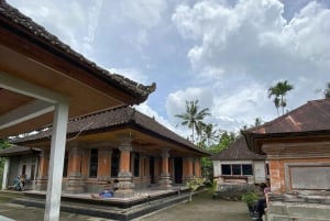 Ubud: PRIVATE E-bike Tour inside Rice Field with meal & pool
