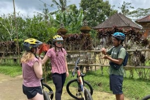 Ubud: PRIVATE E-bike Tour inside Rice Field with meal & pool