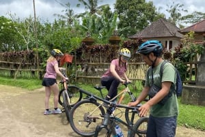 Ubud: PRIVATE E-bike Tour inside Rice Field with meal & pool