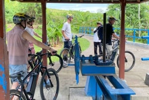 Ubud: PRIVATE E-bike Tour inside Rice Field with meal & pool