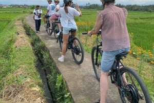 Ubud: PRIVATE E-bike Tour inside Rice Field with meal & pool
