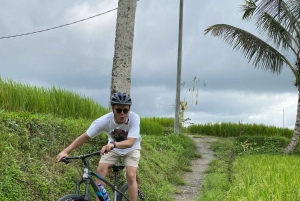 Ubud: Privat el-sykkeltur på rismark med måltid og basseng