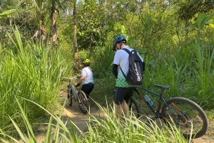 Ubud: Private E-Bike Tour Reisfeld mit Essen und Pool