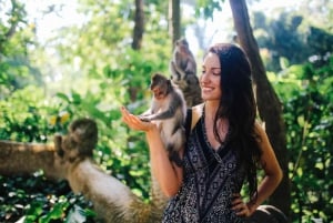 Bali: Ubud (Temple, Spring, Rice Terraces, & Waterfall)