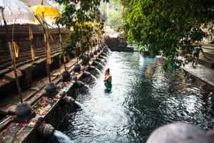 Bali: Ubud (Temple, Spring, Rice Terraces, & Waterfall)