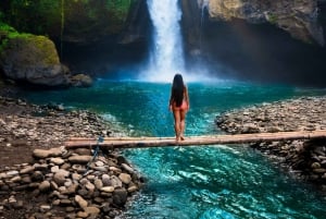 Bali: Ubud (Temple, Spring, Rice Terraces, & Waterfall)