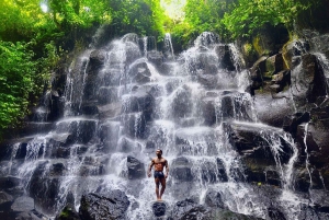 Ubud: private half-day tour all tickets included