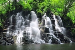 Ubud: Privat halvdagsutflykt med risterrass och vattenfall