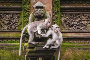 Ubud: Privat halvdagsutflykt med risterrass och vattenfall