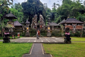 Ubud: Privat halvdagstur med risterrasse og vandfald