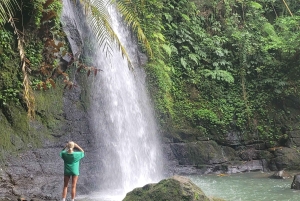 Ubud: Privat halvdagstur med risterrasse og vandfald
