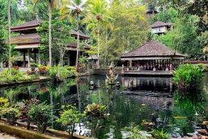 Ubud: Privat halvdagstur med risterrasse og vandfald