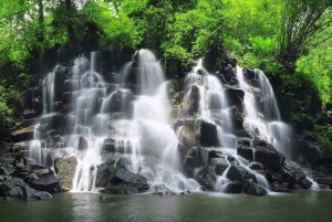 Ubud: Privat halvdagstur med risterrasse og vandfald