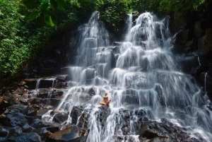 Ubud: Privat halvdagstur med risterrasse og vandfald