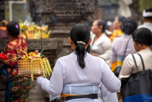 Ubud: Private Hidden Gems Tour with Hotel Pickup