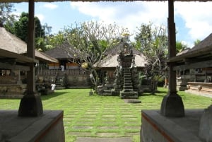 Ubud: Private Hidden Gems Tour with Hotel Pickup