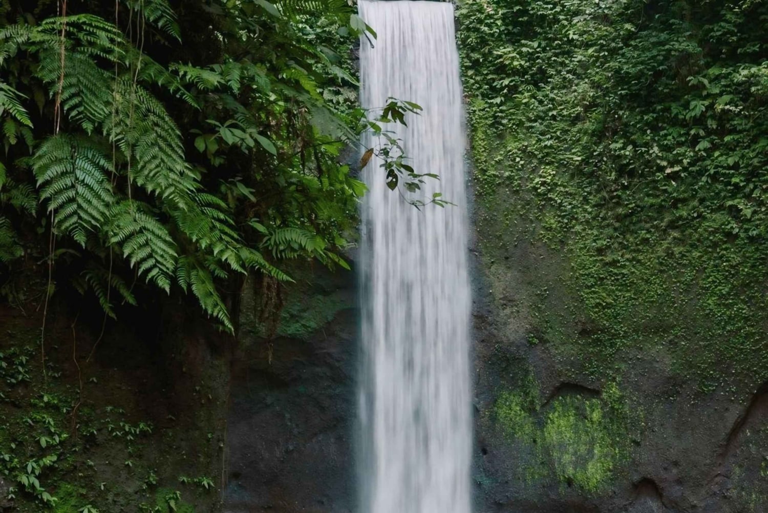 Ubud: Private Scenic Waterfalls and Rice Terraces Tour