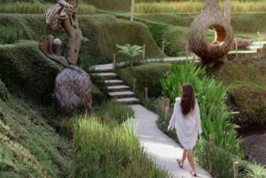 Ubud: Private Scenic Waterfalls and Rice Terraces Tour
