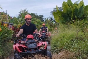 ubud : private tour,atv,rice terrace,waterfalls