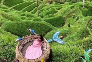 ubud : private tour,atv,rice terrace,waterfalls