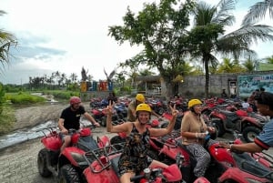 ubud : private tour,atv,rice terrace,waterfalls