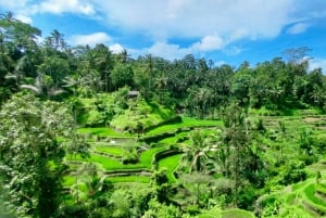 Ubud One Day Private Tour with Driver-Guide