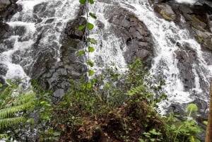 Ubud One Day Private Tour with Driver-Guide