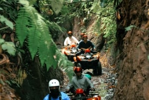 Ubud One Day Private Tour with Driver-Guide