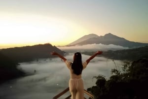 Ubud One Day Private Tour with Driver-Guide
