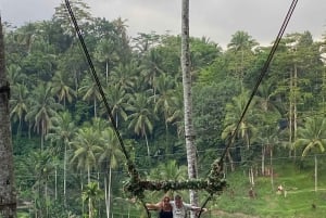 Ubud One Day Private Tour with Driver-Guide