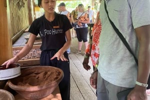 Ubud One Day Private Tour with Driver-Guide