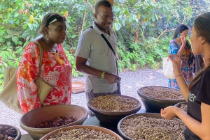 Ubud One Day Private Tour with Driver-Guide