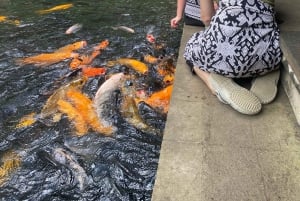Ubud One Day Private Tour with Driver-Guide