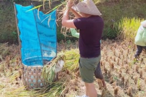 Ubud One Day Private Tour with Driver-Guide