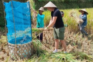 Ubud One Day Private Tour with Driver-Guide