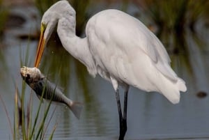 Ubud: Private Tour with Gunung Kawi Temple & Waterfall