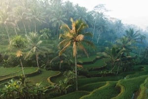 Ubud: Private Tour with Gunung Kawi Temple & Waterfall