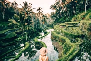 Ubud: Private Tour with Gunung Kawi Temple & Waterfall