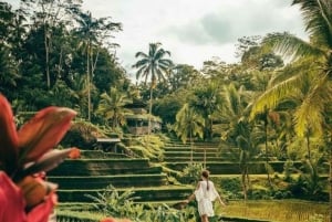 Ubud: Private Tour with Gunung Kawi Temple & Waterfall
