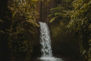 Ubud: Private Tour with Gunung Kawi Temple & Waterfall