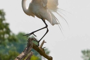 Ubud: privétour met Gunung Kawi-tempel en waterval