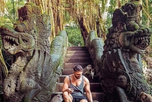 Ubud: privétour met Gunung Kawi-tempel en waterval