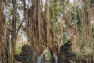Ubud: privétour met Gunung Kawi-tempel en waterval