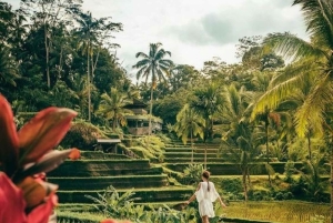 Ubud: privétour met Gunung Kawi-tempel en waterval
