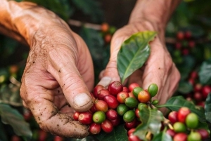 Ubud: privétour met Gunung Kawi-tempel en waterval