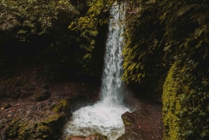 Ubud: privétour met Gunung Kawi-tempel en waterval